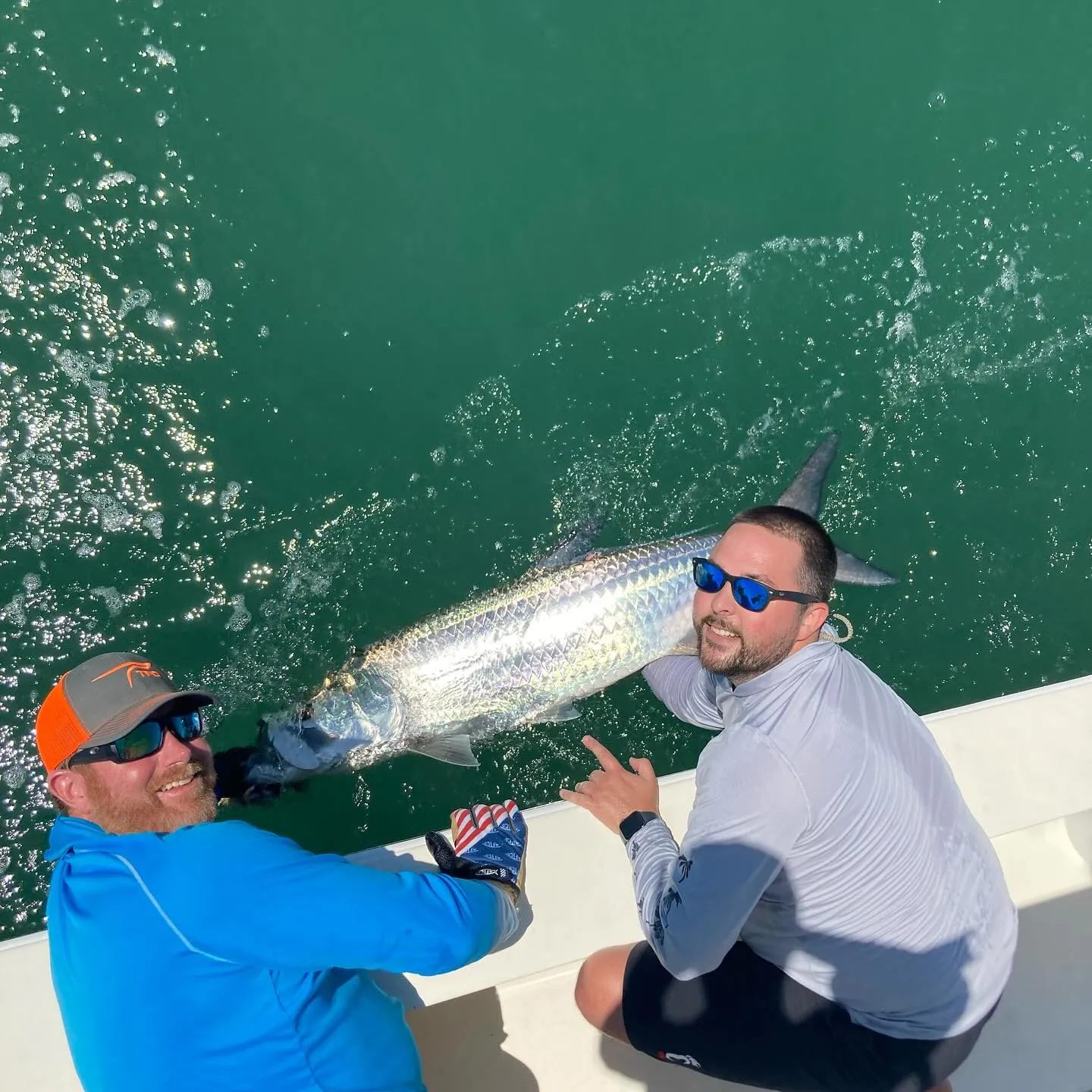 Tampa Bay tarpon caught with Big Daddy Sportfishing
