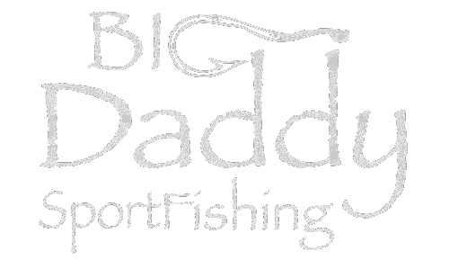 Big Daddy Sportfishing